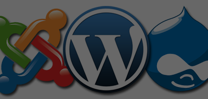 Varför ska man välja ett populärt CMS?